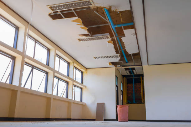 Best Basement water damage restoration  in Hackensack, NJ