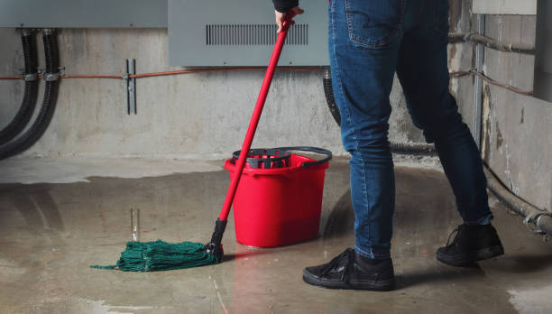 Best 24/7 water damage repair  in Hackensack, NJ