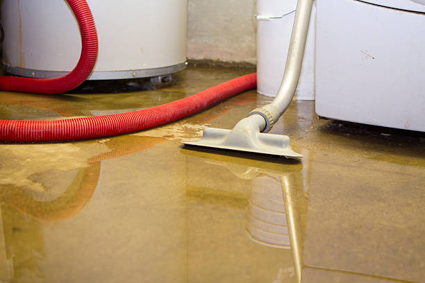 Best Professional water damage repair  in Hackensack, NJ