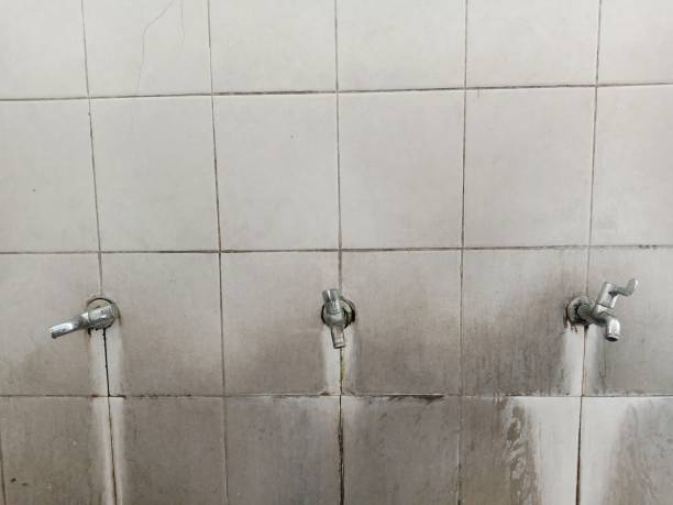 Best 24/7 water damage repair  in Hackensack, NJ