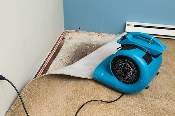 Best Water damage restoration process  in Hackensack, NJ